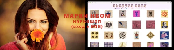 прущие грибы Куйбышев