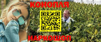 стаф Тулун