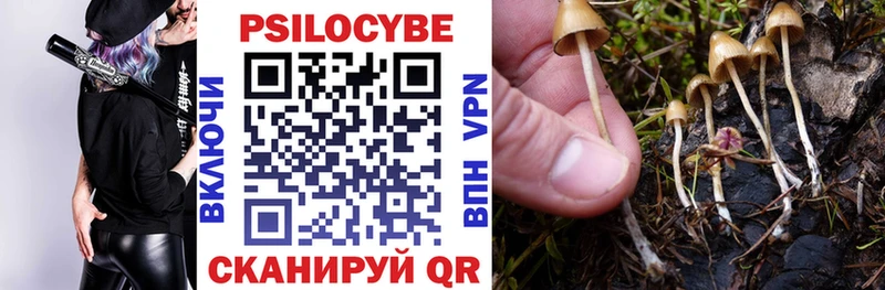 Псилоцибиновые грибы Psilocybine cubensis  Унеча 