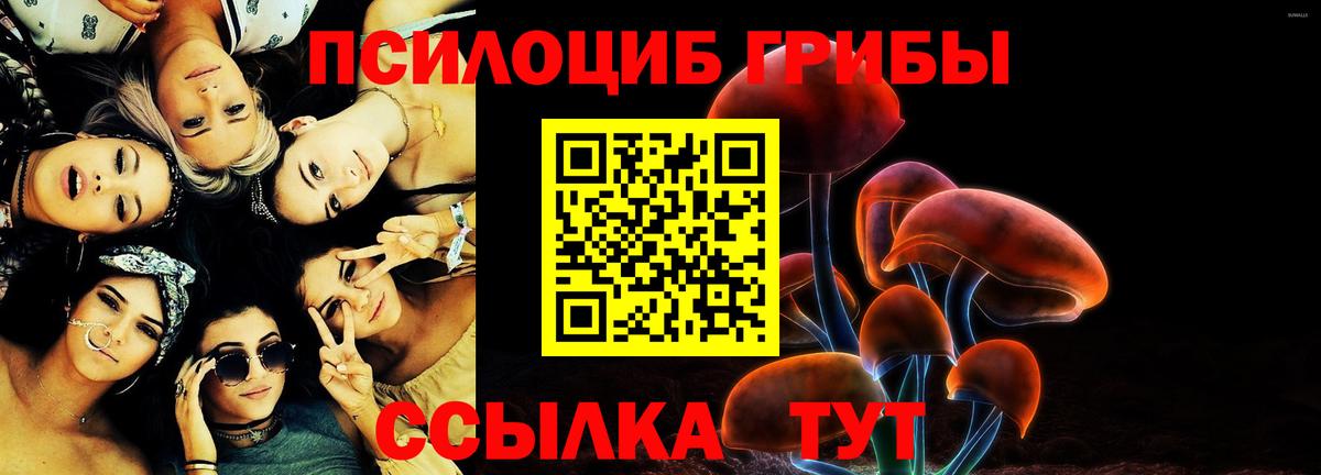 где продают наркотики  Вход с VPN  Унеча  Псилоцибиновые грибы MAGIC MUSHROOMS 